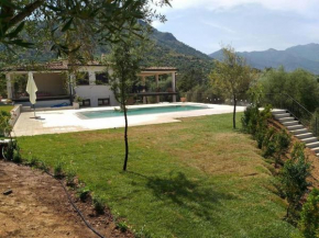 Villa con piscina tra le vigne del Cannonau
